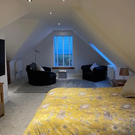 The Town House - Newquay New Quay